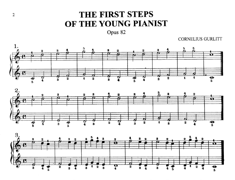 The first steps of the young pianist DomPełenMuzyki