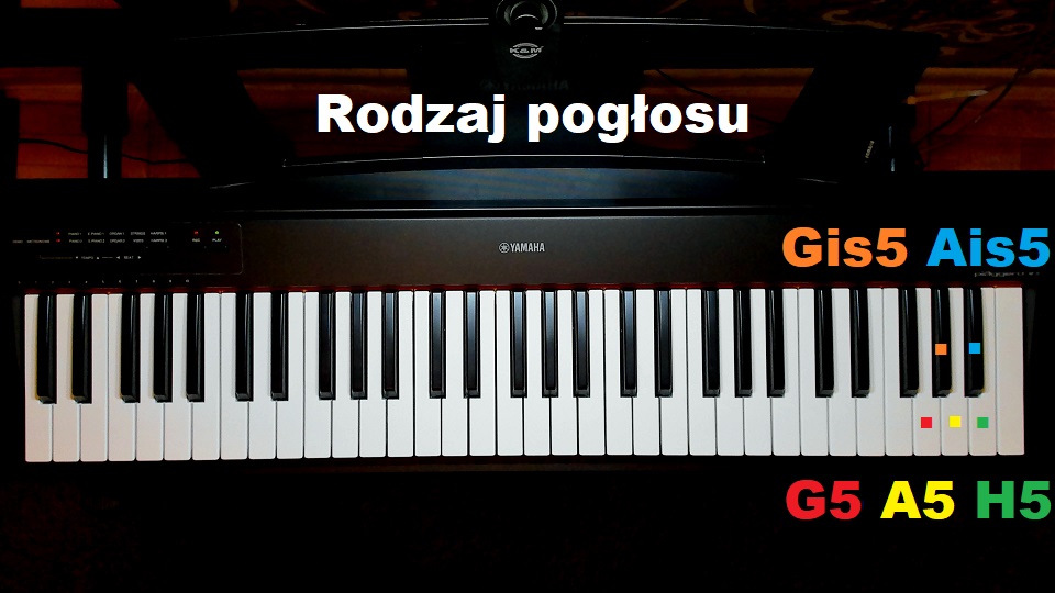 Wybór odpowiednim klawiszem rodzaju pogłosu pianina